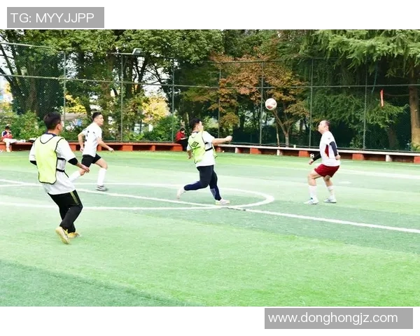 南京足球队在挑战赛中的技术表现分析与评估