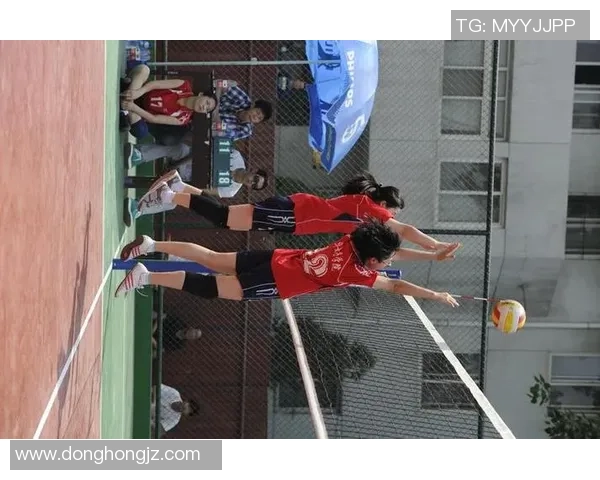 杭州排球队的节奏与风采探秘：排球运动的魅力与团队精神